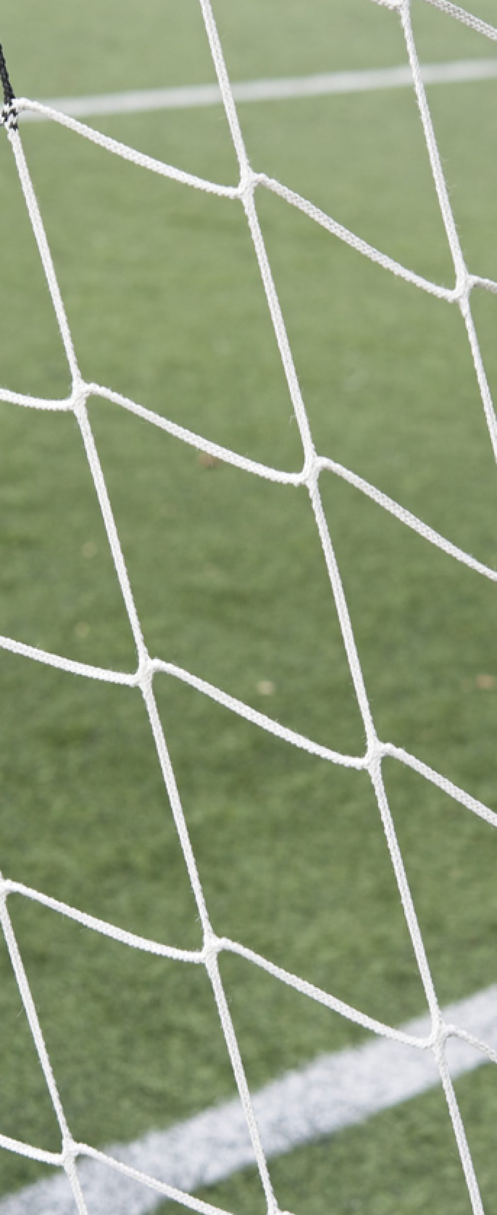 football net in detail