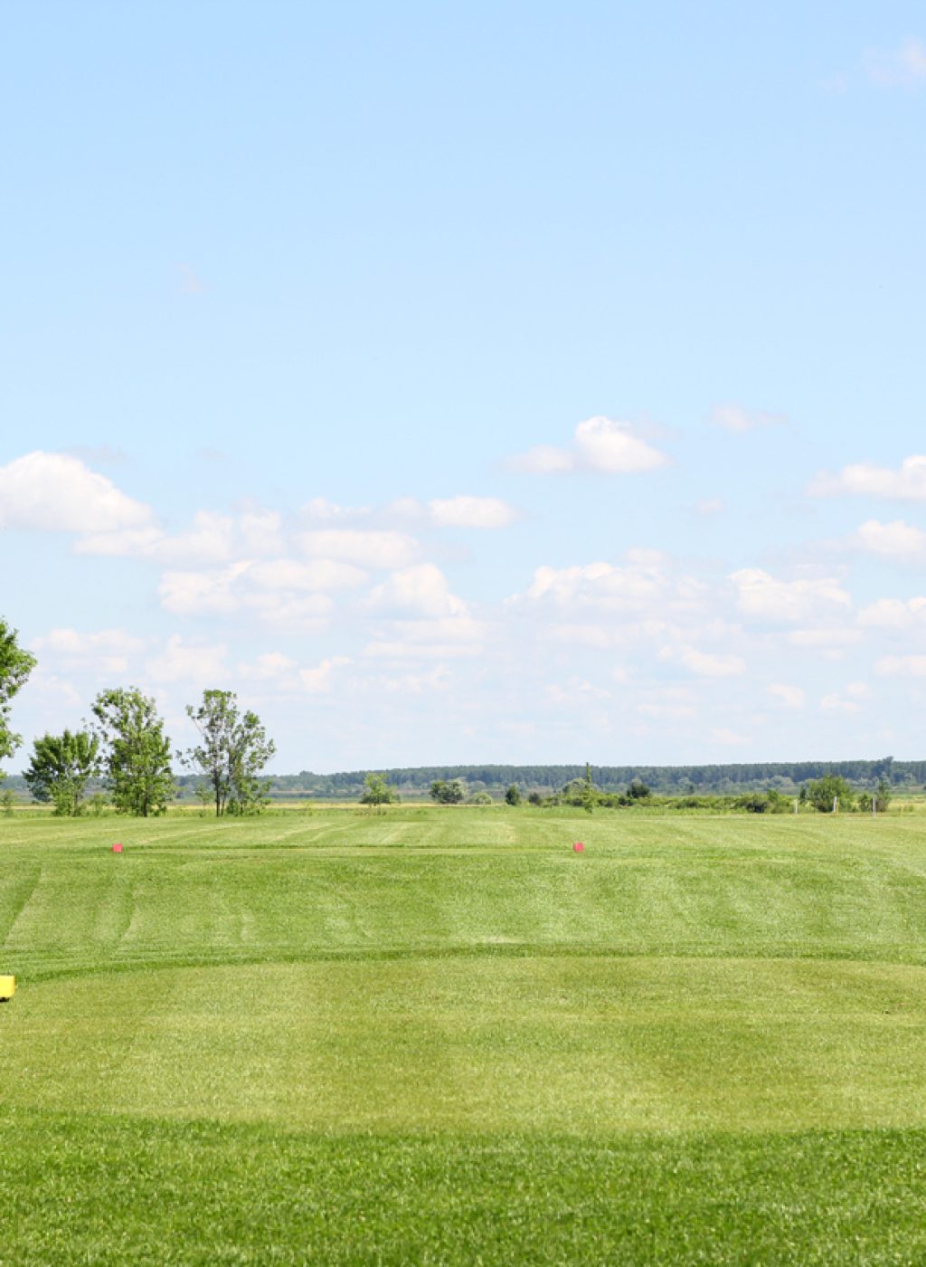 golf course summer landscape